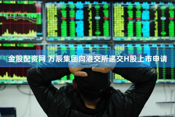 金股配资网 万辰集团向港交所递交H股上市申请