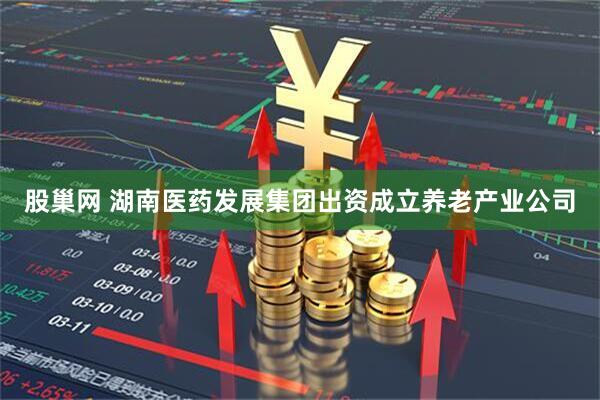 股巢网 湖南医药发展集团出资成立养老产业公司