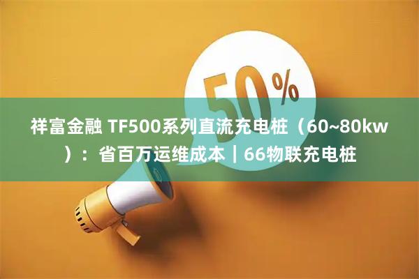 祥富金融 TF500系列直流充电桩(60~80kw):省百万运维成本|66物联充电桩