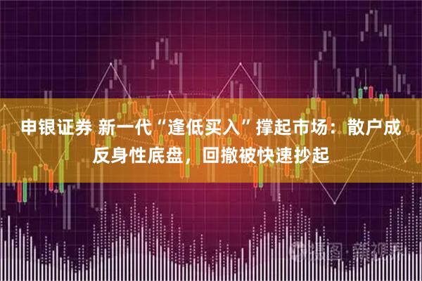 申银证券 新一代“逢低买入”撑起市场：散户成反身性底盘，回撤被快速抄起