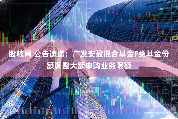 股粮网 公告速递:广发安盈混合基金F类基金份额调整大额申购业务限额