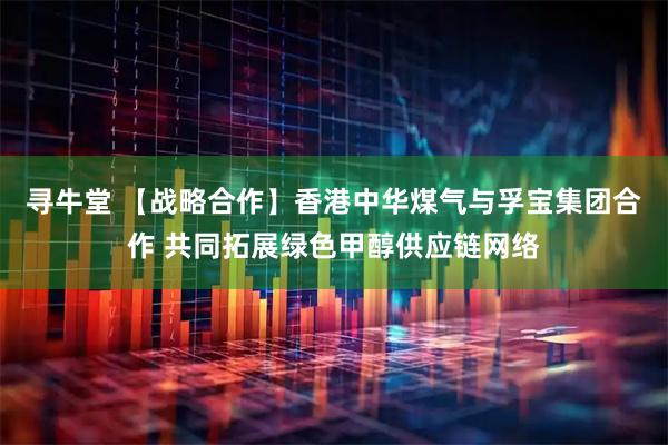 寻牛堂 【战略合作】香港中华煤气与孚宝集团合作 共同拓展绿色甲醇供应链网络